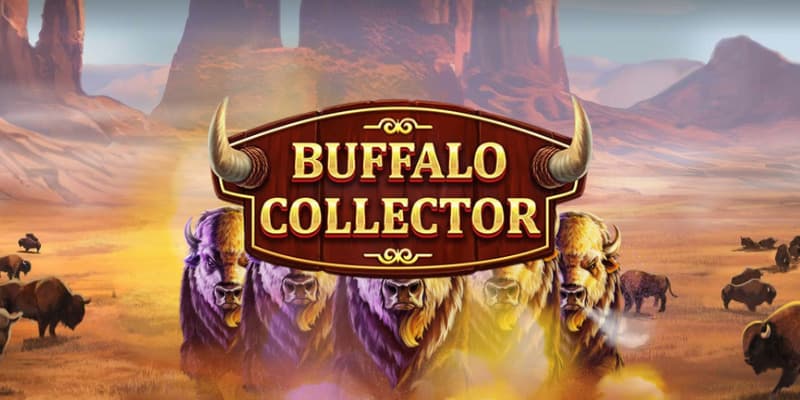 Buffalo Collector